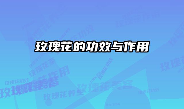 玫瑰花的功效与作用