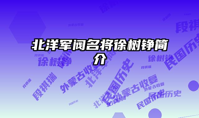 北洋军阀名将徐树铮简介