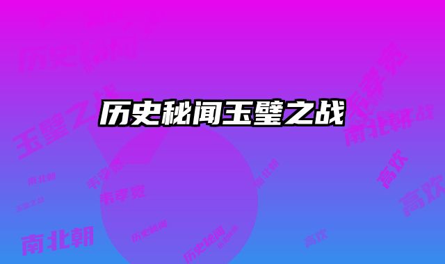 历史秘闻玉璧之战