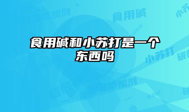 食用碱和小苏打是一个东西吗