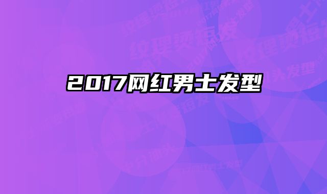 2017网红男士发型