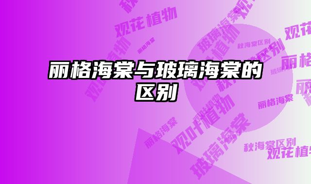 丽格海棠与玻璃海棠的区别