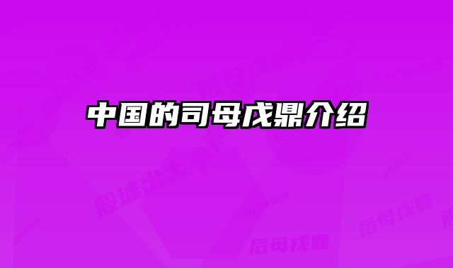 中国的司母戊鼎介绍