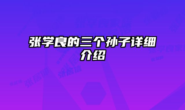 张学良的三个孙子详细介绍