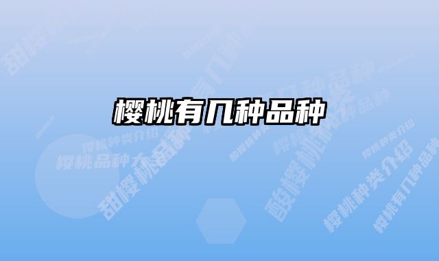 樱桃有几种品种