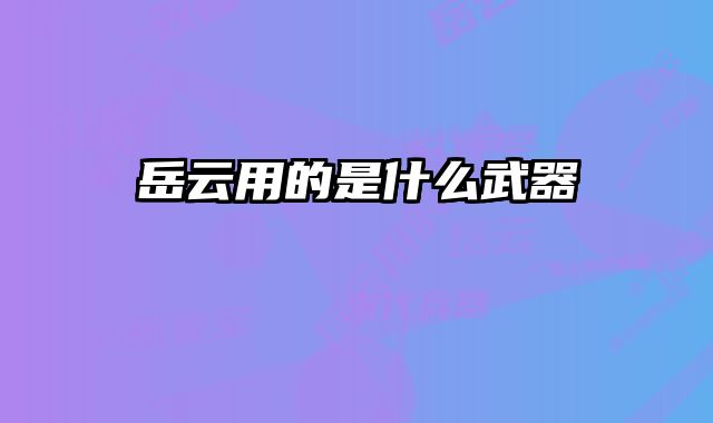 岳云用的是什么武器