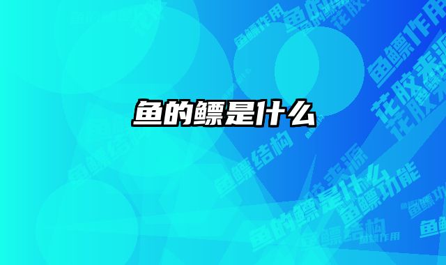 鱼的鳔是什么