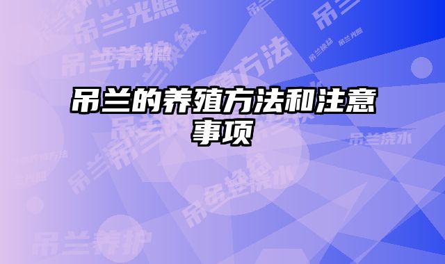 吊兰的养殖方法和注意事项
