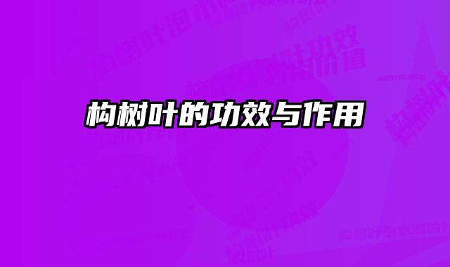 构树叶的功效与作用