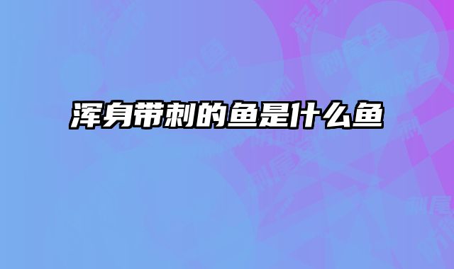 浑身带刺的鱼是什么鱼