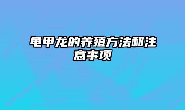 龟甲龙的养殖方法和注意事项