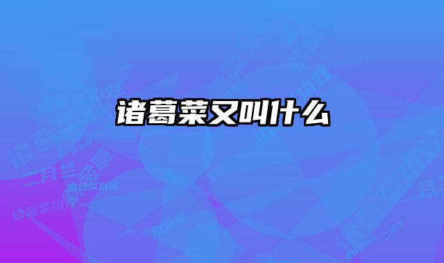 诸葛菜又叫什么