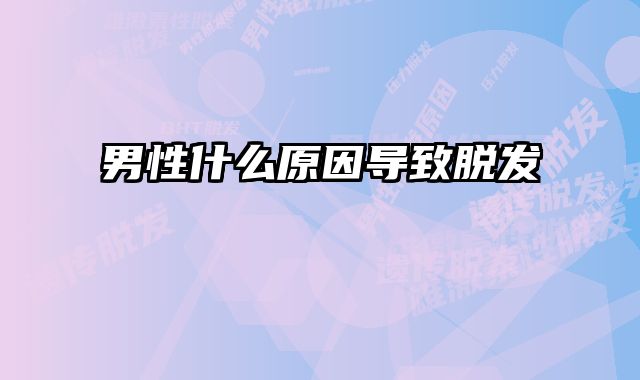 男性什么原因导致脱发