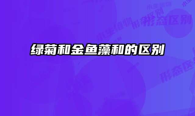绿菊和金鱼藻和的区别