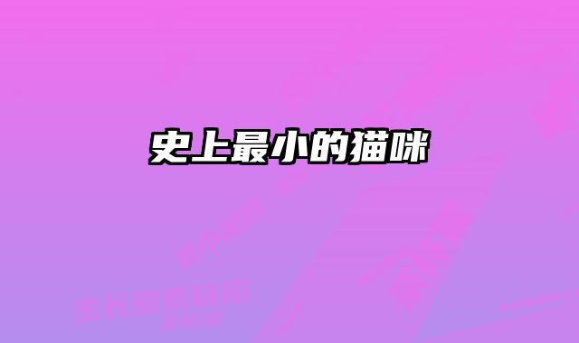 史上最小的猫咪