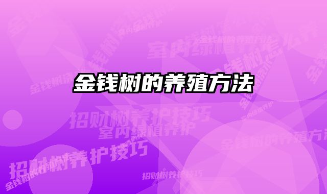 金钱树的养殖方法