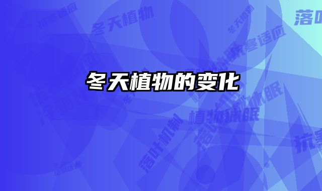 冬天植物的变化