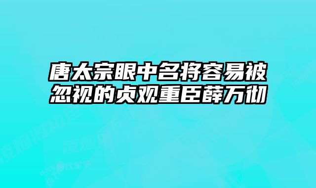 唐太宗眼中名将容易被忽视的贞观重臣薛万彻