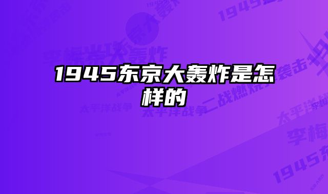 1945东京大轰炸是怎样的