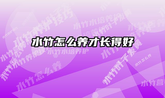 水竹怎么养才长得好