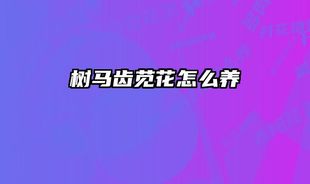 树马齿苋花怎么养