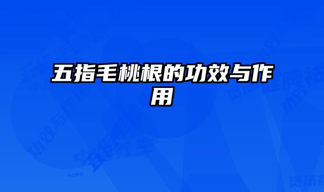 五指毛桃根的功效与作用