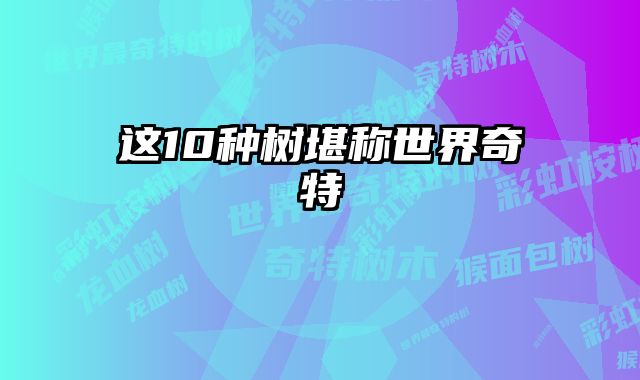 这10种树堪称世界奇特