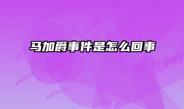 马加爵事件是怎么回事
