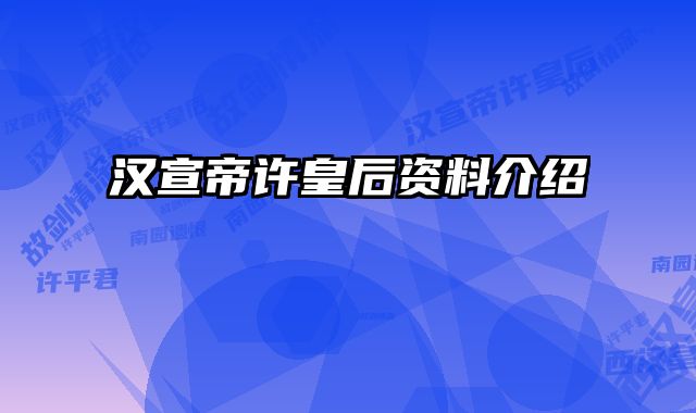 汉宣帝许皇后资料介绍