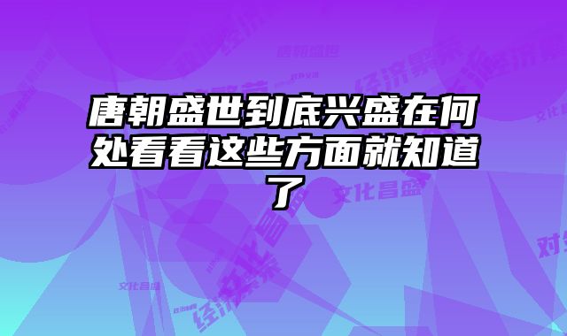 唐朝盛世到底兴盛在何处看看这些方面就知道了