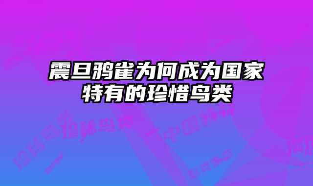 震旦鸦雀为何成为国家特有的珍惜鸟类