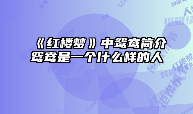 《红楼梦》中鸳鸯简介鸳鸯是一个什么样的人
