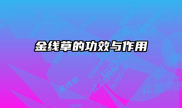 金线草的功效与作用