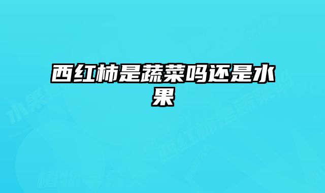 西红柿是蔬菜吗还是水果
