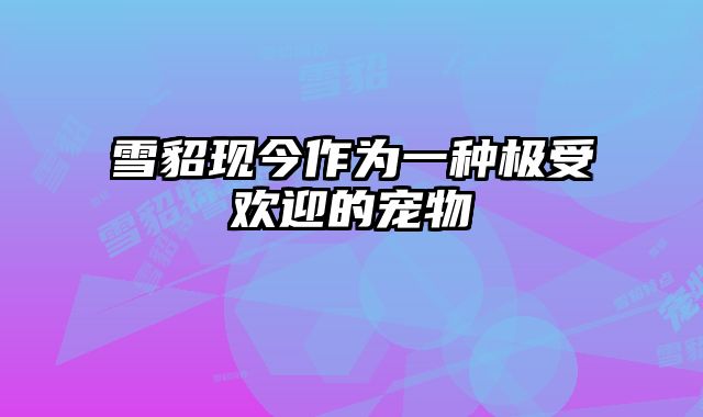 雪貂现今作为一种极受欢迎的宠物