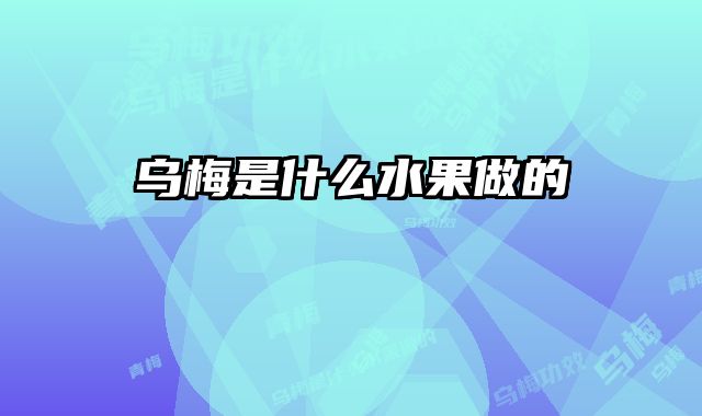乌梅是什么水果做的