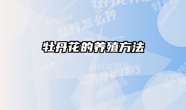 牡丹花的养殖方法