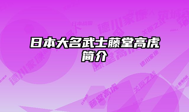 日本大名武士藤堂高虎简介