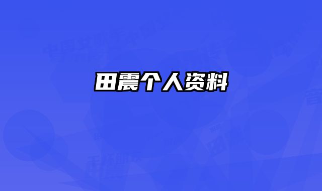 田震个人资料