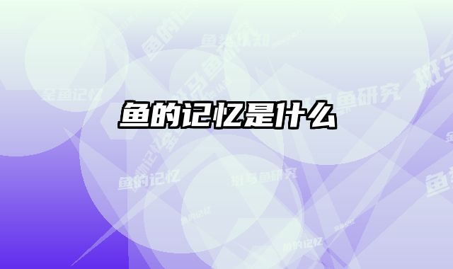 鱼的记忆是什么