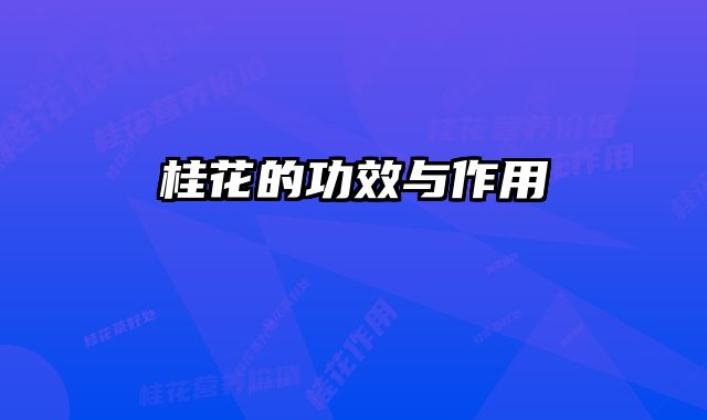 桂花的功效与作用