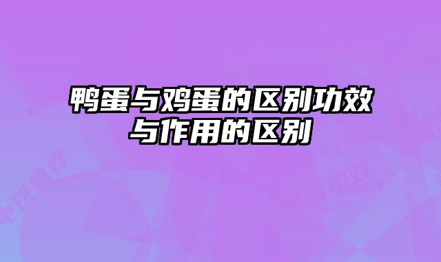 鸭蛋与鸡蛋的区别功效与作用的区别