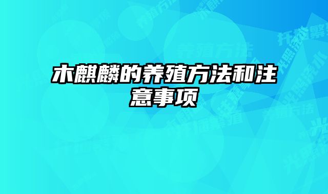 木麒麟的养殖方法和注意事项