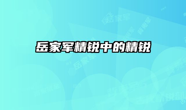 岳家军精锐中的精锐