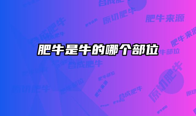 肥牛是牛的哪个部位