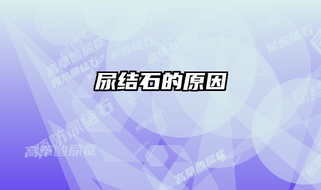 尿结石的原因