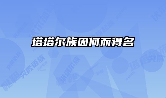 塔塔尔族因何而得名