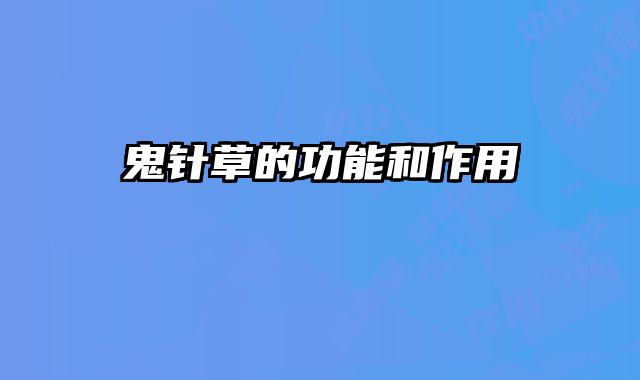 鬼针草的功能和作用