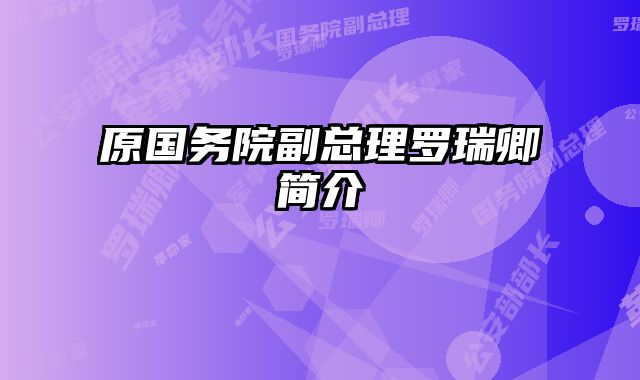 原国务院副总理罗瑞卿简介