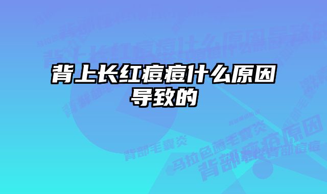 背上长红痘痘什么原因导致的